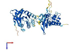 APOBEC3B Protein (AA 1-382) (His tag)