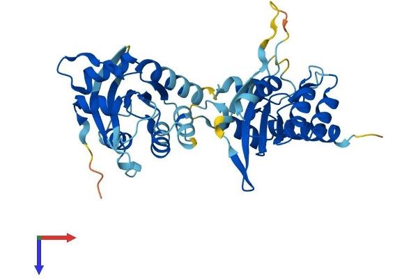 APOBEC3B Protein (AA 1-382) (His tag)