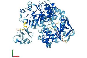 Protein Structure (PS) image for ATP-Binding Cassette, Sub-Family E (OABP), Member 1 (ABCE1) (AA 1-599) protein (His tag) (ABIN7551891)