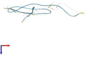 AlphaFold protein structure predicition of Mouse Recombinant Ccdc18 Protein, UniprotID Q640L5