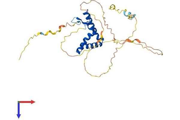 SOX12 Protein (AA 1-314) (His tag)