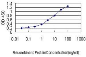 ELISA image for anti-Ubiquitin-Conjugating Enzyme E2R 2 (UBE2R2) (AA 1-238) antibody (ABIN565788)