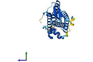AlphaFold protein structure predicition of Human Recombinant ZDHHC21 Protein, UniprotID Q8IVQ6