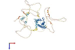 CENPT Protein (AA 1-515) (His tag)