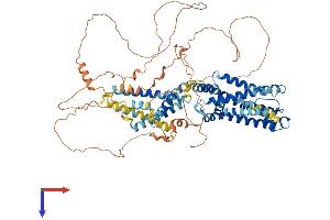 KCNQ2 Protein (AA 1-759) (His tag)