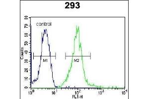 Flow Cytometry (FACS) image for anti-Interferon Regulatory Factor 2 Binding Protein 2 (IRF2BP2) (AA 337-366) antibody (ABIN654481)