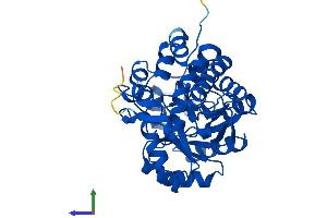Protein Structure (PS) image for Hydroxyacid Oxidase (Glycolate Oxidase) 1 (HAO1) (AA 1-370) protein (His tag) (ABIN7556262)