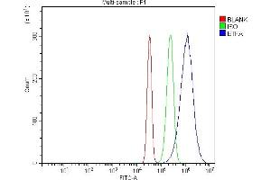 Flow Cytometry analysis of SiHa cells using anti-ETFA antibody (ABIN7599281).