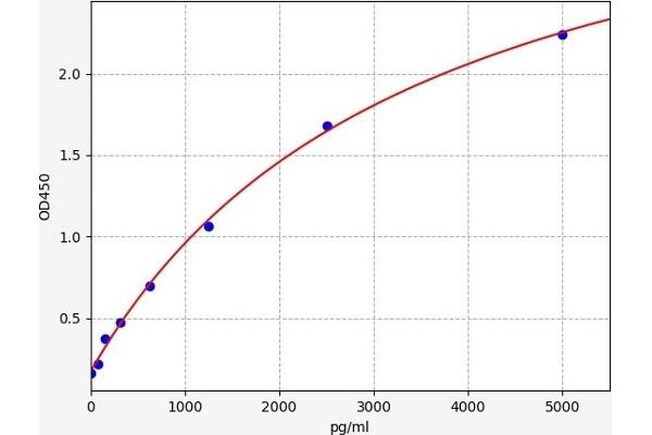 p53 ELISA Kit