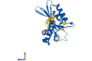 Protein Structure (PS) image for Activation-Induced Cytidine Deaminase (AICDA) (AA 1-198) protein (His tag) (ABIN7551935)