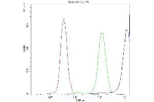 Flow Cytometry analysis of PC-3 cells using anti-CCT3 antibody (ABIN4886513).