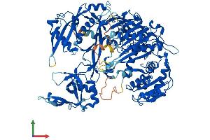 AlphaFold protein structure predicition of Mouse Recombinant Ago4 Protein, UniprotID Q8CJF8