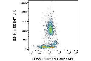 Surface staining of human peripheral blood cells with anti-CD55 (MEM-118) purified, GAM-APC. (CD55 Antikörper)