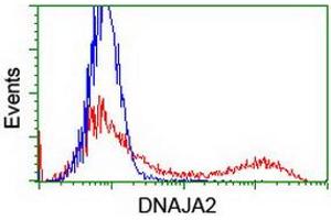 HEK293T cells transfected with either RC202204 overexpress plasmid (Red) or empty vector control plasmid (Blue) were immunostained by anti-DNAJA2 antibody (ABIN2454004), and then analyzed by flow cytometry. (DNAJA2 Antikörper)