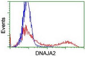 HEK293T cells transfected with either RC202204 overexpress plasmid (Red) or empty vector control plasmid (Blue) were immunostained by anti-DNAJA2 antibody (ABIN2454004), and then analyzed by flow cytometry.