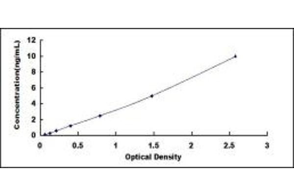 CYGB ELISA Kit