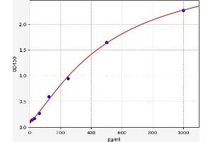 Chemokine (C-C Motif) Ligand 24 (CCL24) ELISA Kit