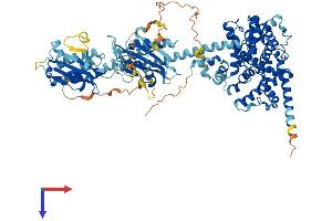 PDE5A Protein (AA 1-865) (His tag)