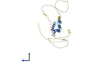 Protein Structure (PS) image for Hairy/enhancer-of-Split Related with YRPW Motif 2 (HEY2) (AA 1-337) protein (His tag) (ABIN7548296)