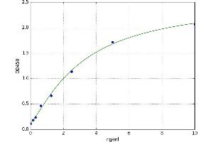 Sp7 Transcription Factor (SP7) ELISA Kit