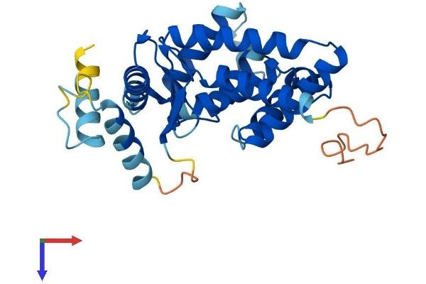LIX1 Protein (AA 1-282) (His tag)