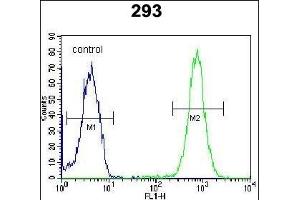 SAR1B Antibody (Center) (ABIN654355 and ABIN2844120) flow cytometric analysis of 293 cells (right histogram) compared to a negative control cell (left histogram). (SAR1B Antikörper  (AA 89-116))