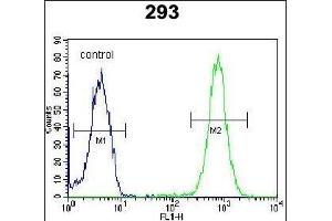 SAR1B Antibody (Center) (ABIN654355 and ABIN2844120) flow cytometric analysis of 293 cells (right histogram) compared to a negative control cell (left histogram). (SAR1B Antikörper  (AA 89-116))