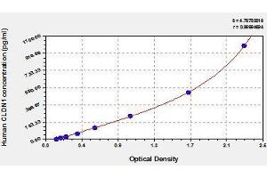 Typical standard curve (Claudin 1 ELISA Kit)