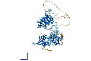 AlphaFold protein structure predicition of Human Recombinant EIF2D Protein, UniprotID P41214 (EIF2D Protein (AA 1-584) (His tag))