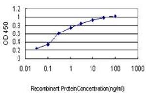 Detection limit for recombinant GST tagged EPHA2 is approximately 0. (EPH Receptor A2 Antikörper  (AA 204-326))