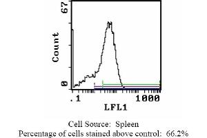 Mouse anti CD44 (HCAM) OX-49 (CD44 Antikörper  (Biotin))