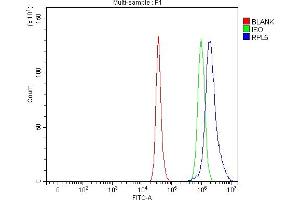Flow Cytometry analysis of HepG2 cells using anti-RPL5 antibody (ABIN7601007). (RPL5 Antikörper  (AA 27-297))