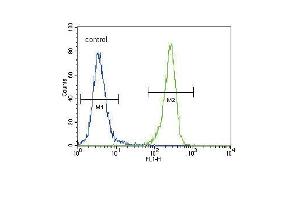 DDR1 Antibody (Center) (ABIN391458 and ABIN2841434) flow cytometric analysis of 293 cells (right histogram) compared to a negative control cell (left histogram). (DDR1 Antikörper  (AA 299-330))