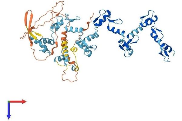 ZNF879 Protein (AA 1-563) (His tag)