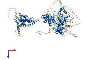 KCNU1 Protein (AA 1-1149) (His tag)