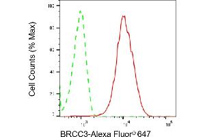 Flow cytometric analysis of BRCC3 expression in HepG2 cells using BRCC3 antibody (ABIN7797788), 1:2,000). (Rekombinanter BRCC3 Antikörper)