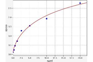 Typical standard curve (COLEC12 ELISA Kit)