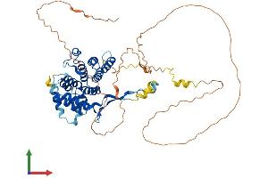 Protein Structure (PS) image for Family with Sequence Similarity 126, Member A (FAM126A) (AA 1-521) protein (His tag) (ABIN7558022)