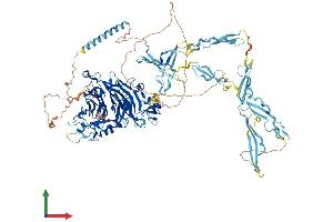 Protein Structure (PS) image for Sema Domain, Seven Thrombospondin Repeats (Type 1 and Type 1-Like), Transmembrane Domain (TM) and Short Cytoplasmic Domain, (Semaphorin) 5B (SEMA5B) (AA 1-1151) protein (His tag) (ABIN7555437)