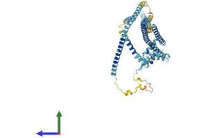 AlphaFold protein structure predicition of Mouse Recombinant Ccdc148 Protein, UniprotID Q6P5U8