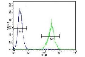 SOX1 antibody flow cytometric analysis of NCI-H460 cells (right histogram) compared to a  (SOX1 Antikörper  (AA 47-76))