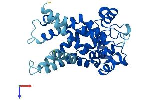 SLC25A6 Protein (AA 1-298) (His tag)