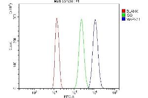 Flow Cytometry analysis of THP-1 cells using anti-MAPK11 antibody (ABIN7600772). (MAPK11 Antikörper  (AA 230-364))
