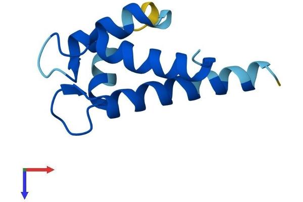 S100A5 Protein (AA 1-93) (His tag)