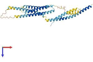 Syntaxin 16 Protein (STX16) (AA 1-326) (His tag)