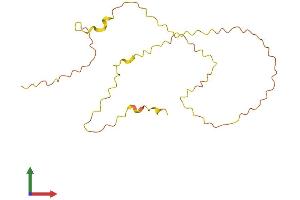 AlphaFold protein structure predicition of Human Recombinant KLLN Protein, UniprotID B2CW77