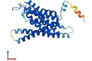 Protein Structure (PS) image for Anterior Pharynx Defective 1 Homolog B (Aph1b) (AA 1-257) protein (His tag) (ABIN7552331)