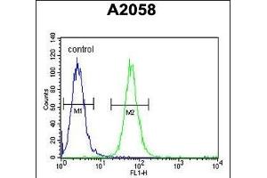 ABHEB Antibody (C-term) (ABIN653654 and ABIN2842995) flow cytometric analysis of  cells (right histogram) compared to a negative control cell (left histogram). (ABHD14B Antikörper  (C-Term))