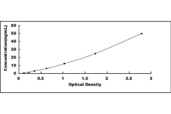 Dermcidin ELISA Kit