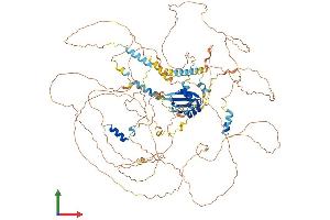 AlphaFold protein structure predicition of Mouse Recombinant Ppargc1b Protein, UniprotID Q8VHJ7